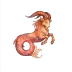Capricorne