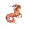 Capricorne